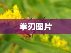 以撒的结合道具图鉴大全  第1张