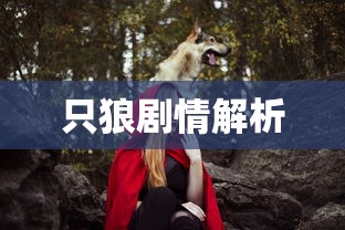 只狼剧情解析  第1张
