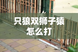 只狼双狮子猿怎么打  第1张