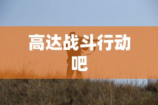 高达战斗行动吧  第1张