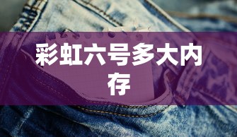 彩虹六号多大内存  第1张