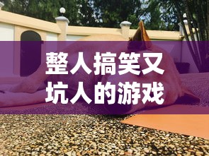 小黄蜂250全新多少钱  第1张