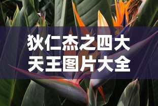 驾照号码查询系统  第1张