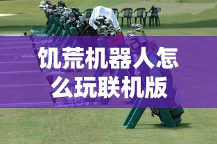 饥荒机器人怎么玩联机版  第1张