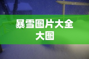 暴雪图片大全大图  第1张
