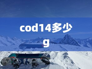 cod14多少g  第1张