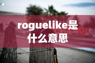 roguelike是什么意思  第1张