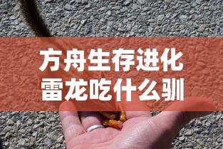 方舟生存进化雷龙吃什么驯服  第1张