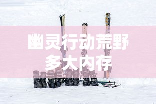幽灵行动荒野多大内存  第1张