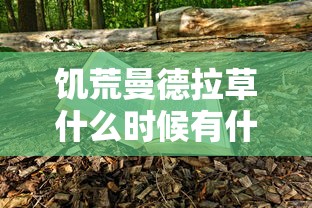饥荒曼德拉草什么时候有什么用  第1张