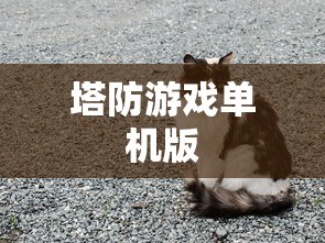 范雨素 农民大哥  第1张