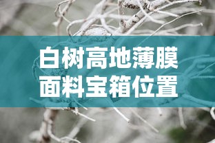 白树高地薄膜面料宝箱位置  第1张