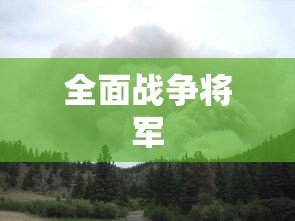 全面战争将军  第1张