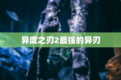 异度之刃2最强的异刃  第1张