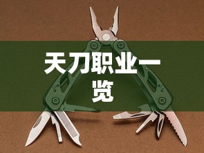 天刀职业一览  第1张