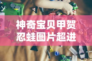 神奇宝贝甲贺忍蛙图片超进化  第1张