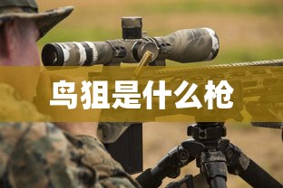 鸟狙是什么枪  第1张