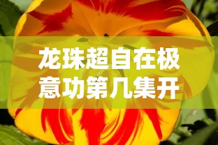 龙珠超自在极意功第几集开始出来  第1张