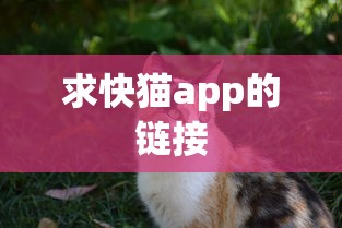 求快猫app的链接  第1张