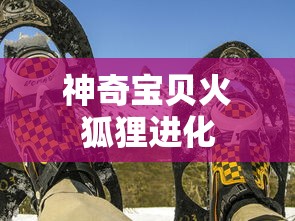神奇宝贝火狐狸进化  第1张