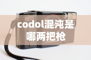 codol混沌是哪两把枪  第1张