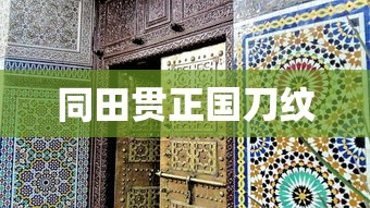 同田贯正国刀纹  第1张