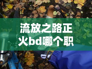 流放之路正火bd哪个职业好  第1张