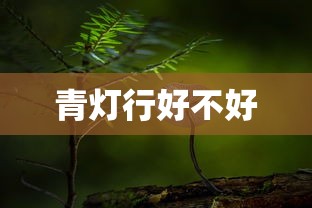 青灯行好不好  第1张