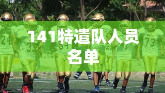 141特遣队人员名单  第1张