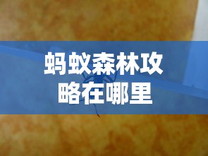 蚂蚁森林攻略在哪里  第1张