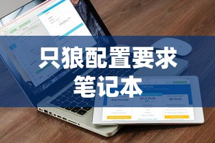只狼配置要求笔记本  第1张