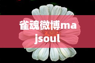 雀魂微博majsoul  第1张