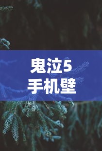 鬼泣5手机壁纸4k  第1张