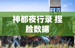 神都夜行录 捏脸数据  第1张