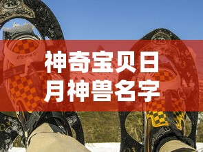 神奇宝贝日月神兽名字  第1张