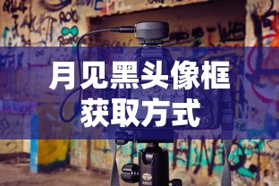 月见黑头像框获取方式  第1张