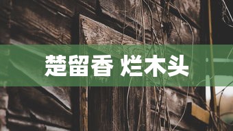 楚留香 烂木头  第1张