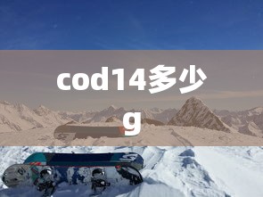 cod14多少g  第1张