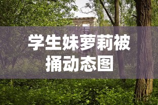 学生妹萝莉被捅动态图  第1张