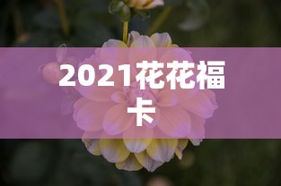 2021花花福卡  第1张