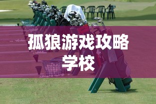 孤狼游戏攻略学校  第1张