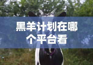 黑羊计划在哪个平台看  第1张