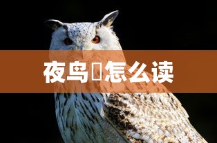大众辉腾报价及图片  第1张