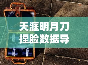 天涯明月刀捏脸数据导入教程  第1张