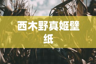逆水寒点卡收费价格  第1张
