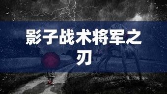影子战术将军之刃  第1张