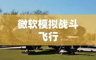 微软模拟战斗飞行  第1张