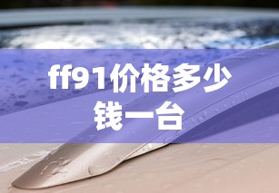 ff91价格多少钱一台  第1张