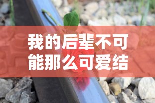 我的后辈不可能那么可爱结局  第1张