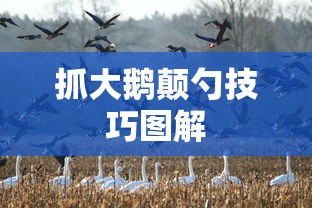 抓大鹅颠勺技巧图解  第1张